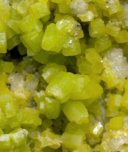 Pyromorphite with Quartz
Roughton Gill Mine, Caldbeck Fells, Cumbria, England, UK
Main crystal size: 0.5 × 0.3 cm
Minor fluorescence long & short UV
Former collection of John H. Marshall (Author: Jordi Fabre)