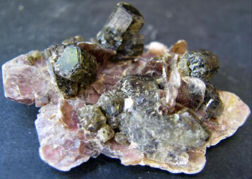 Apatito + moscovita
Panasqueira, Covilha, Castelo Branco, Portugal
45 x 38 x 12 mm. (Autor: José Luis Zamora)