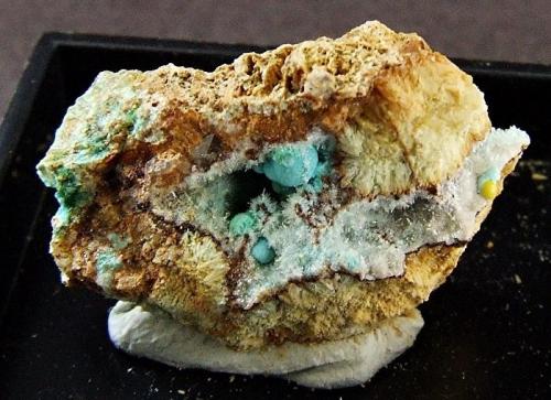 Rosasite, Hemimorphite and Mimetite.
Roughton Gill mine, Caldbeck Fells, Cumbria, England, UK.
17 x 12 mm (Author: nurbo)