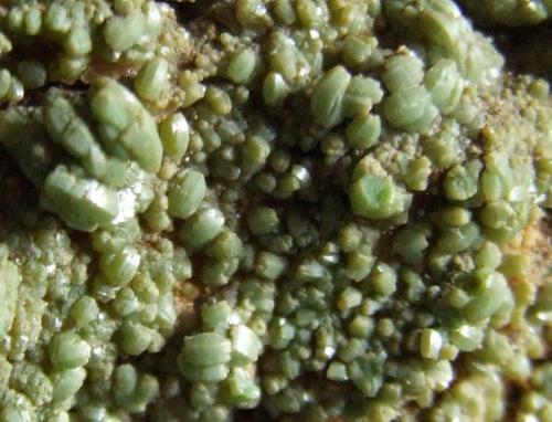 Pyromorphite Mimetite series
Driggith Mine, Caldbeck Fells, Cumbria, England, UK.
12 cms max dimension (overall size) (Author: nurbo)