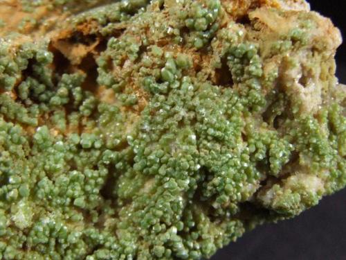 Pyromorphite Mimetite series
Driggith Mine, Caldbeck Fells, Cumbria, England, UK.
12 cms max dimension (overall size) (Author: nurbo)