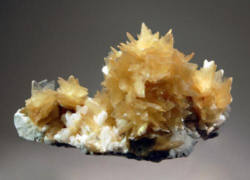 Muscovite
Rodinha Mine, Itinga, Minas Gerais, Brazil
5.0 x 8.6 cm.
Golden yellow crystals of  “star muscovite” covering a matrix of white 
albite.  Collected in 2012. (Author: crosstimber)