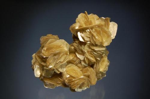 Muscovite
Linopolis, Minas Gerais, Brazil
9.0 x 9.5 cm.
Intergrown books of golden-yellow muscovite crystals to 2 cm. (Author: crosstimber)