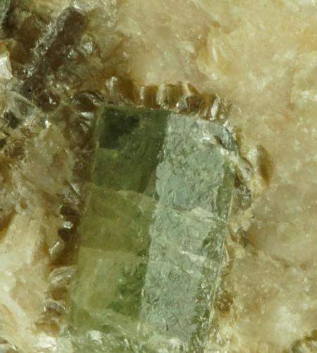 Apatite in quartz.
Carrock Mine, Carrock Fell, Caldbeck Fells, Cumbria, UK.
6 mm crystal on 65 mm specimen.
 (Author: Ru Smith)