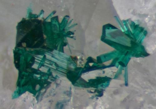 Brochantite crystals on quartz.
Roughton Gill, Caldbeck Fells, Cumbria, UK.
16 mm specimen. Field of view about 2 mm. (Author: Ru Smith)