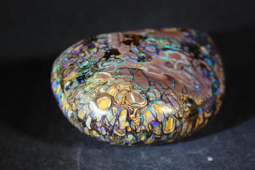 Opal
Koroit, Queensland, Australia
6.8 x 4.1 cm and 6.2 x 2.8 cm (Author: Don Lum)