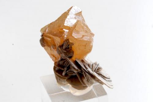 Scheelita.
Huya W-Sn-Be deposit, Huya township, Mt Xuebaoding, Pingwu Co., Mianyang Prefecture, Sichuan Province, China.
Medidas pieza: 3,4 x 2,9 x 1,7 cm. (Autor: Sergio Pequeño)