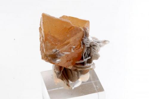 Scheelita.
Huya W-Sn-Be deposit, Huya township, Mt Xuebaoding, Pingwu Co., Mianyang Prefecture, Sichuan Province, China.
Medidas pieza: 3,4 x 2,9 x 1,7 cm. (Autor: Sergio Pequeño)