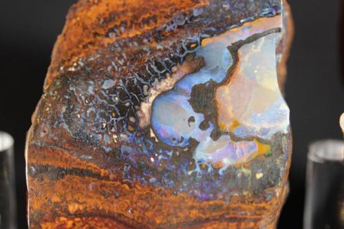 Opal
Yowah, Queensland, Australia
6.5 x 3.5 cm
Yowah Nut (Author: Don Lum)
