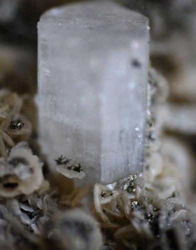 Fluorapatito + Siderita + Ferberita 
Panasqueira, Covilhã, Castelo Branco, Portugal
Detalle (Autor: José Luis Zamora)