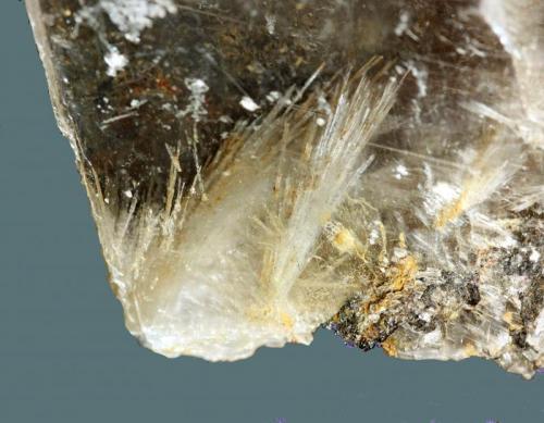 Celestina en yeso.
Pilar de Jaravía, Pulpí, Almería, Andalucía, España.
Cristales de 2 cm.
 (Autor: Antonio Carmona)