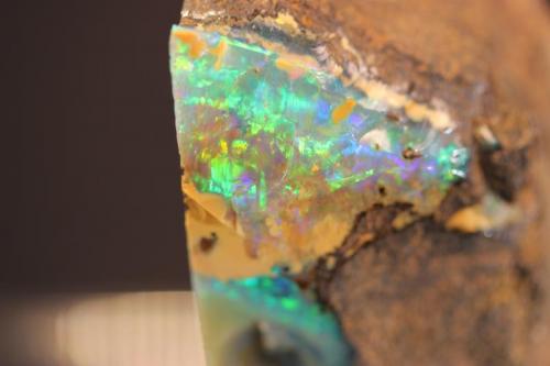 Opal
Quilpie, Queensland, Australia
4.2 x 3.9 cm (Author: Don Lum)