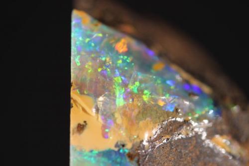 Opal
Quilpie, Queensland, Australia
4.2 x 3.9 cm
Boulder Opal (Author: Don Lum)