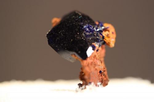 Azurite
Broken Hill Mine, New South Wales, Australia
1.6 x 1.5 cm (Author: Don Lum)