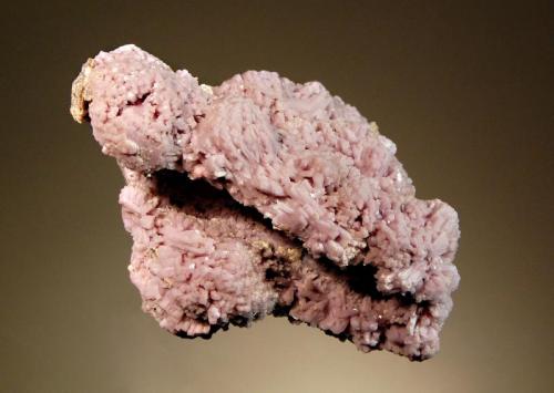 Lepidolite cast after tourmaline
Barra de Salinas, Coronel Murta, Minas Gerais, Brazil
7.2 x 7.4 cm.
Lilac-colored lepidolite crystals epimorphing elbaite crystals which have dissolved to leave tubular hollow casts. (Author: crosstimber)