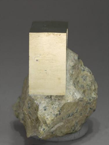 Pyrite
Ampliación a Victoria Mine, Navajún, La Rioja, Spain
4.7 × 4 × 3.5 cm
A pyrite crystal in matrix with an unusual flattened morphology.

Photo: Reference Specimens (Author: supertxango)