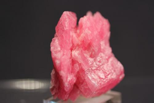 Rhodochrosite
Wutong Mine, Liubao Wuzhou, Guangxi Zhuang. A.R., China
4 x  3.5 cm (Author: Don Lum)