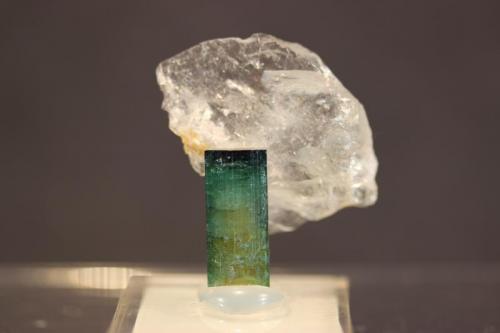 Tourmaline, Quartz
Sapo Mine, Conselheiro Pena, Doce Valley, Minas Gerais, Brazil
3.6 x 3.3 cm (Author: Don Lum)