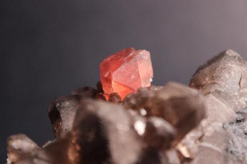 Fluorite, Smoky Quartz
Pointe Kurtz, Argentière Glacier, Mont Blanc, Chamonix, France
9.0 x 6 cm (Author: Don Lum)