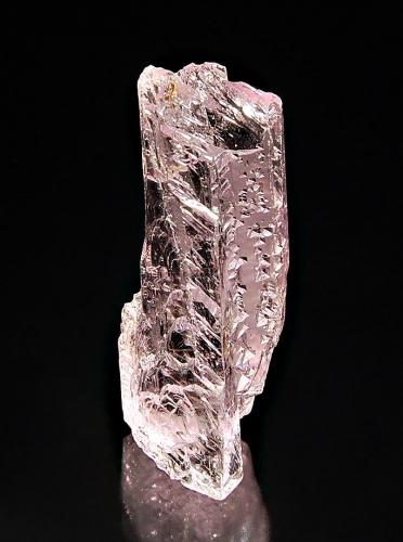 Spodumene var. kunzite
Resplendor, Doce Valley, Minas Gerais, Brazil
2.5 x 6.0 cm.
A gemmy pink kunzite crystal with interesting etch features. (Author: crosstimber)