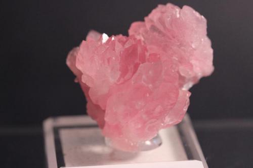 Quartz
Chapadinha Mine, Coronel Murta, Minas Gerais, Brazil
3.3 x 3.3 cm
Rose Quartz (Author: Don Lum)