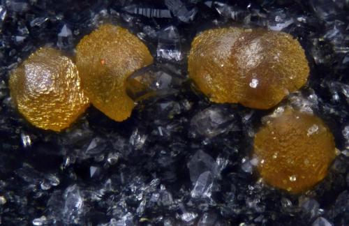 Siderita.
Tunel el Arteal, Sierra Almagrera, Cuevas del Almanzora (Cuevas de Vera), Almería, Andalucía, España.
Campo de visión 0,9 mm. (Autor: Juan Miguel)