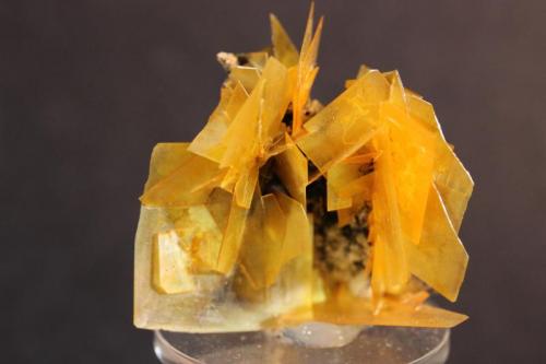 Wulfenite
79 Mine, Gila County, Arizona, USA
4.4 x 4.2 cm
ex-Bill Rudner (Author: Don Lum)