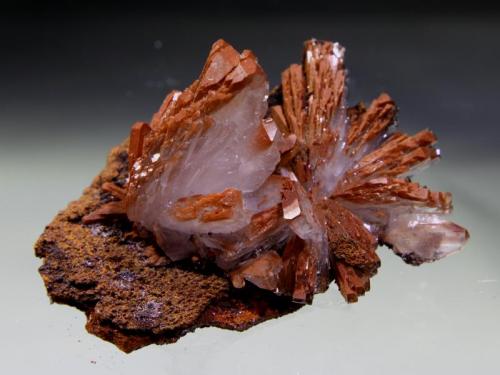 Hemimorphite
Level 17, Mina El Potosi, Santa Eulalia, Chihuahua, Mexico
6.5 x 4 x 4.4 cm
Hemimorphite rosettes with crystals included by hematitic dust. Main crystal is 4 cm tall (Author: Jean Sendero)