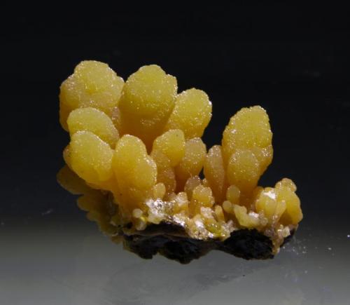 Mimetite
Mina Ojuela, Mapimi, Durango, Mexico
4 x 2 x 2 cm
Plate of bright yellow lustrous reversed tear drop like of mimetite crystal aggregates. Tear drops are up to 2 cm high (Author: Jean Sendero)