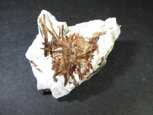 Astrofilita
Khibiny Massif, Península Kola, Murmanskaja Oblast’, Norte de Rusia
4 x 2’5 cm.
Agregado estrellado de cristales aciculares. (Autor: prcantos)