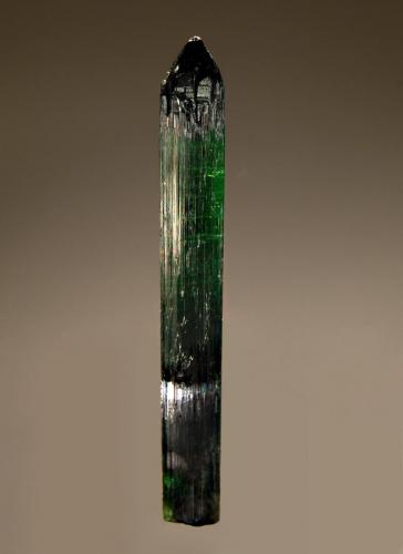 Elbaite
Santa Rosa Mine, Malacacheta, Minas Gerais, Brazil
1.0 x 7.5 cm.
A dark green zoned elbaite with a pyramidal termination. (Author: crosstimber)