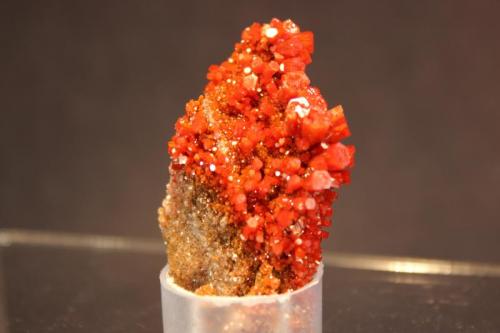 Vanadinite
North Geronimo Mine, La Paz County, Arizona, USA
5.5 x 3.3 cm (Author: Don Lum)