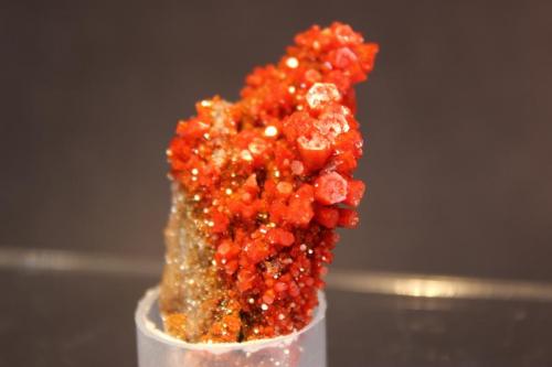 Vanadinite
North Geronimo Mine, La Paz County, Arizona, USA
5.5 x 3.3 cm (Author: Don Lum)