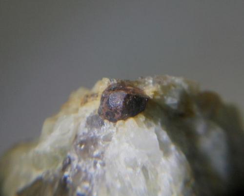 Monacita
Finca del Cabril, Hornachuelos, Córdoba, Andalucía, España
cristal 5 mm (Autor: Nieves)