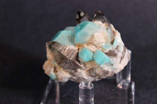 Amazonite, Smoky Quartz, Albite
Dreamtime Claim, Colorado, USA
5 x 4.8 cm (Author: Don Lum)