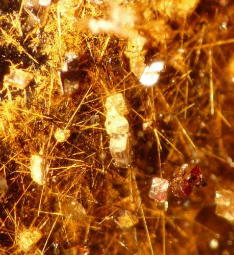 Smoky Quartz with inclusions.
Mount Malosa, Zomba, Malawi.
44 x 17 x 12 mm
Is the red crystals perhaps zircon? (Author: Pierre Joubert)