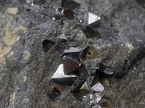 Magnetita
Coto Minero San Guillermo, Mina Santa Bárbara, Valuengo, Jerez de los Caballeros, Badajoz, Extremadura, España
Cristales de 3 mm. aproximadamente (Autor: Cristalino)