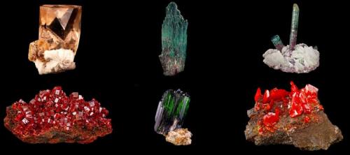 Six more samples from the Hoppel Collection - a Topaz, two Tourmaline, a Vanadinite, a Vivianite and a Wulfenite. (Author: BlueCapProductions)