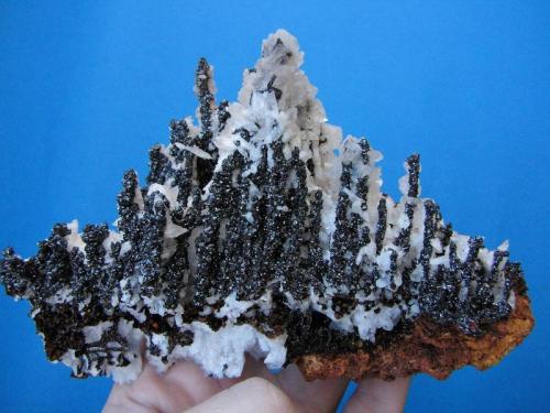 Descloizite, Calcite.
Preguiça Mine, Sobral de Adiça, Beja, Portugal.
16x9x5.5 cm. (Author: Fermin Clemente)