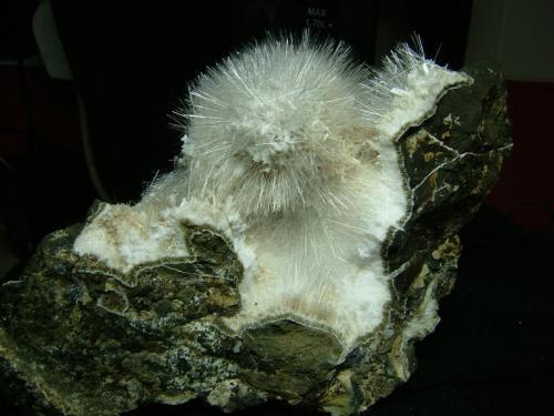 Natrolite + Laumontite
Sgurr nam Fiadh, Isle of Skye, Scotland, UK
8 cm x 8 cm x 4 cm
Natrolite or mesolite crystals to 12 mm on white crystals that used to be laumontite, but have most likely dehydrated as the specimen has been stored dry. I have had similar material tested from this locality and it proved to be natrolite - courtesy of Alan Dyer - but not this same material.
This locality is 5km south of Talisker Bay and - you guessed it - very difficult to access !
 Self-collected 2006.
 Self-collected 2004. (Author: Mike Wood)