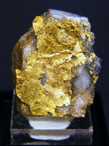 Gold
Red Lake Mine, Balmertown, Red Lake Gold District, Kenora District, Ontario, Canada
3.1 x 2.5 cm
a sheet of leaf gold on quartz matrix. (Author: Tim Blackwood)