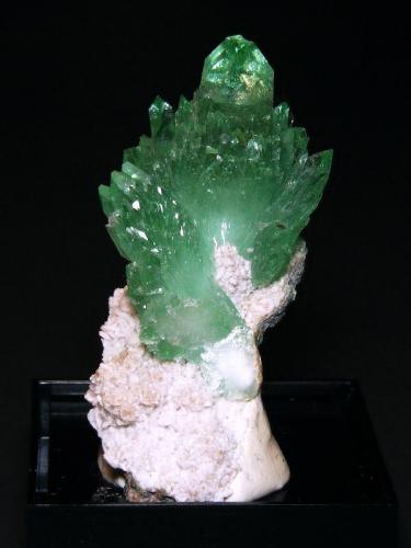 Apophyllite-(KF) with Stilbite-Ca
Pashan quarries, Pashan, Pune District, Maharashtra, India
4.5 cm tall
The apophyllites reach 2.5 cm in length.  The very tip of the main crystal is cleaved. Collected in the late 1970s to early 1980s. (Author: Tim Blackwood)
