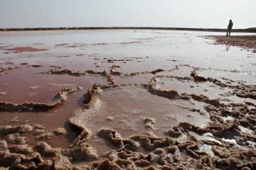 Gypsum, edge of small natural evaporating pan.
Bar Al Hickman, Oman. (Author: Ru Smith)