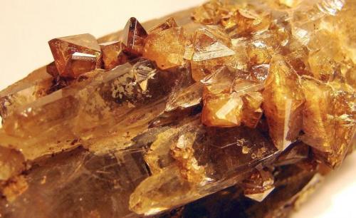 Zircon, quartz.
Mount Malosa, Zomba Plateau, Malawi
zircon crystals to 7mm on a 6 cm quartz crystal group. (Author: Ru Smith)