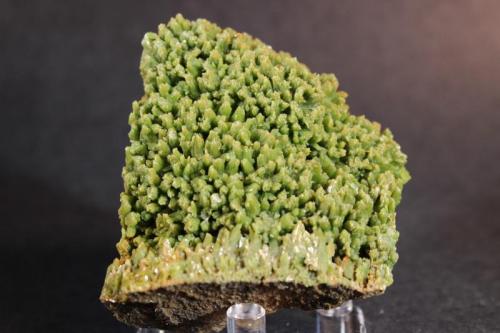 Pyromorphite
Guilin, Yangshuo County, Guangxi Province, China
7 x 6.7 cm (Author: Don Lum)