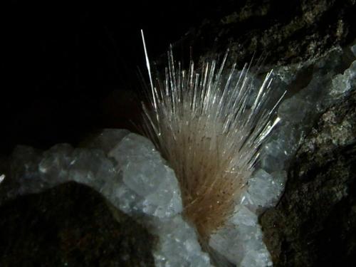 Natrolite + Analcime
Oisgill Bay, Isle of Skye, Scotland, UK
10mm crystals
Natrolite crystals to 10mm on small analcime crystals in a gas cavity in basalt lava. This material has been analysed.
Self-collected 2004. (Author: Mike Wood)