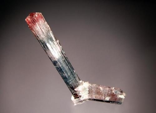 Elbaite
Pederneira Mine, Santa Maria do Suassui, Minas Gerais, Brazil
4.0 x 10.0 cm.
Two intersecting crystals with pink cores, bluish-green mid-sections, and terminated with a cranberry-red, low angle pyramid. (Author: crosstimber)