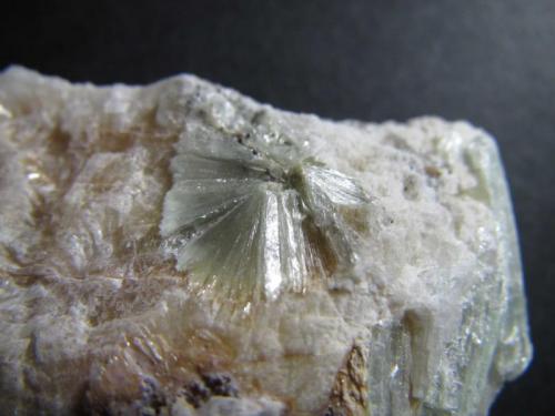 Pirofilita
St. Niklaus, Riederalp, Valais, Suiza
1 x 1 cm. el grupo de cristales
Otro detalle de la misma pieza: un agregado estrellado. (Autor: prcantos)