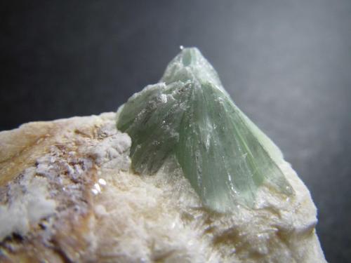 Pirofilita
St. Niklaus, Riederalp, Valais, Suiza
1’5 x 1’5 cm. el grupo de cristales
Detalle de la pieza anterior: un agregado cónico. (Autor: prcantos)