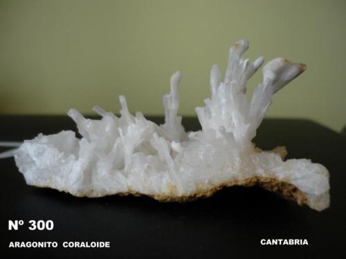 Aragonito
Cantabria, España
8cm x 5cm x 4 cm (Autor: Tomas Ruiz de Arbulo Saez)
